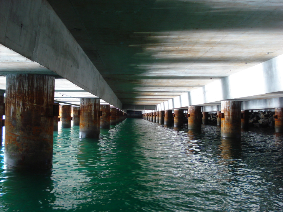 pilotees marinos (2018_10_08 13_33_54 UTC).jpg